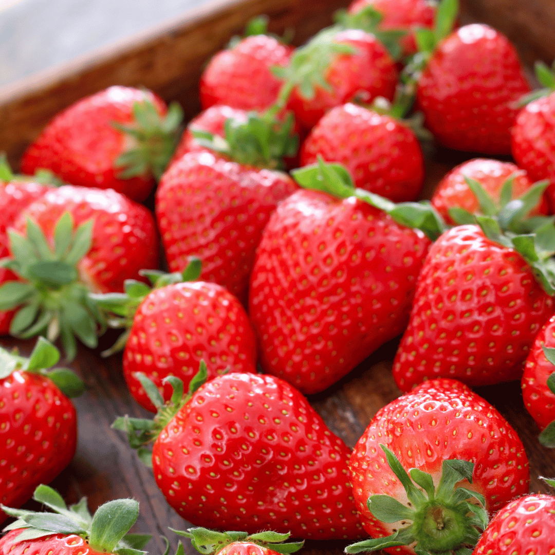 La fraise Label rouge séduit de plus en plus de producteurs