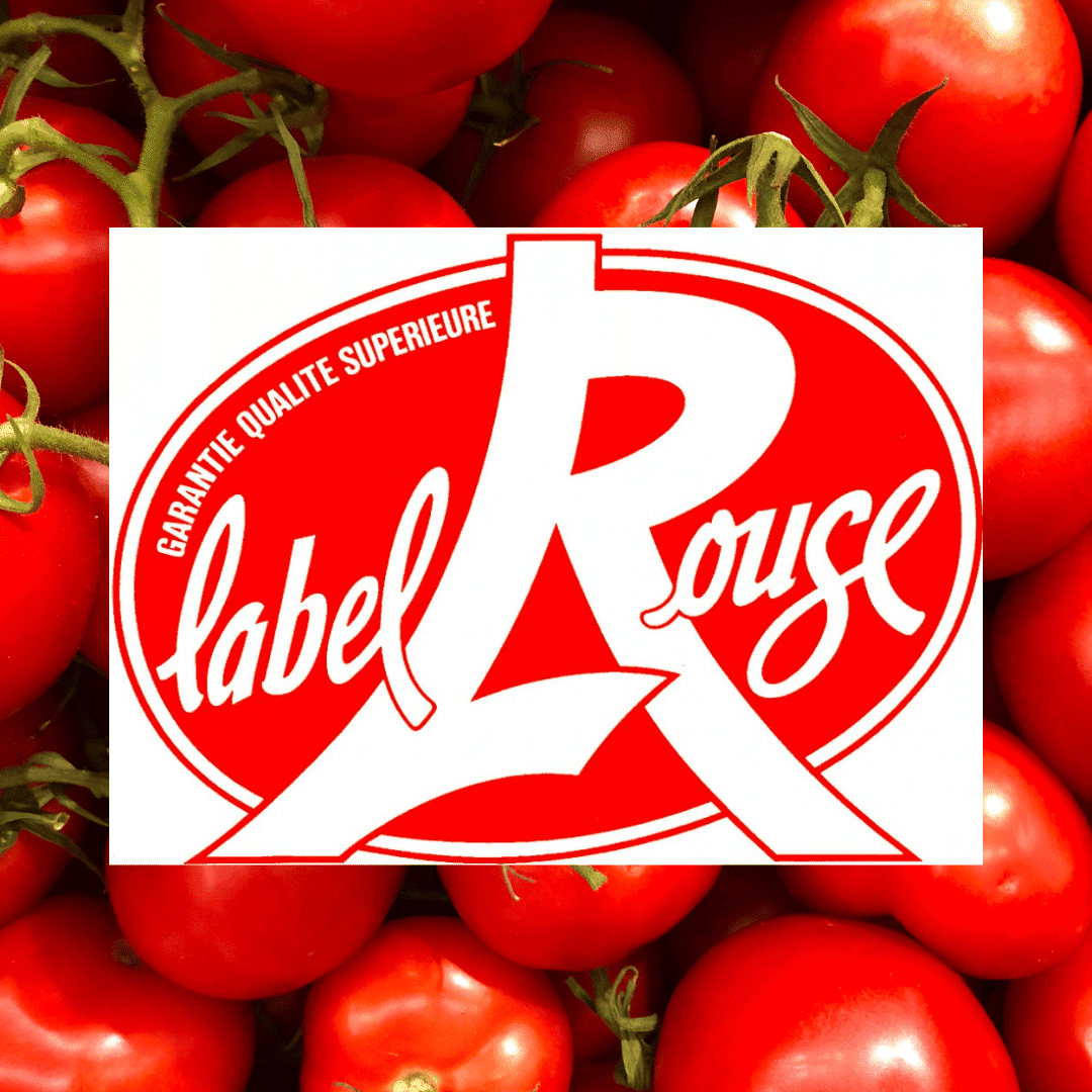 La première tomate Label Rouge officiellement lancée