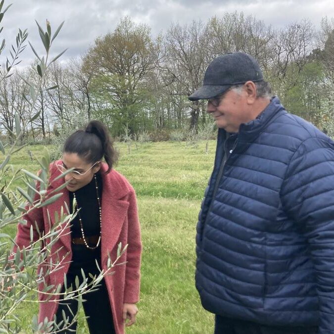 Le goût des rencontres en Nouvelle-Aquitaine par France 3 : les oliviers dans les vignes