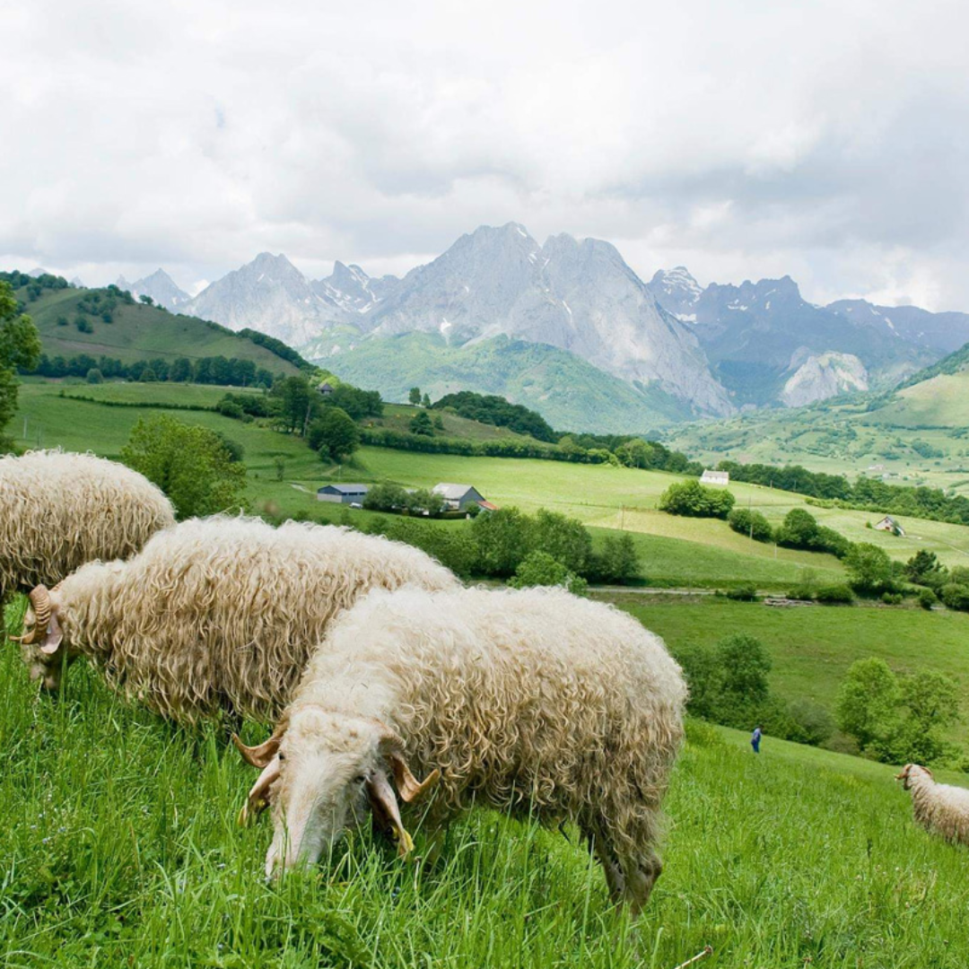 Recherche agriculteurs dans le cadre d’une enquête en Dordogne