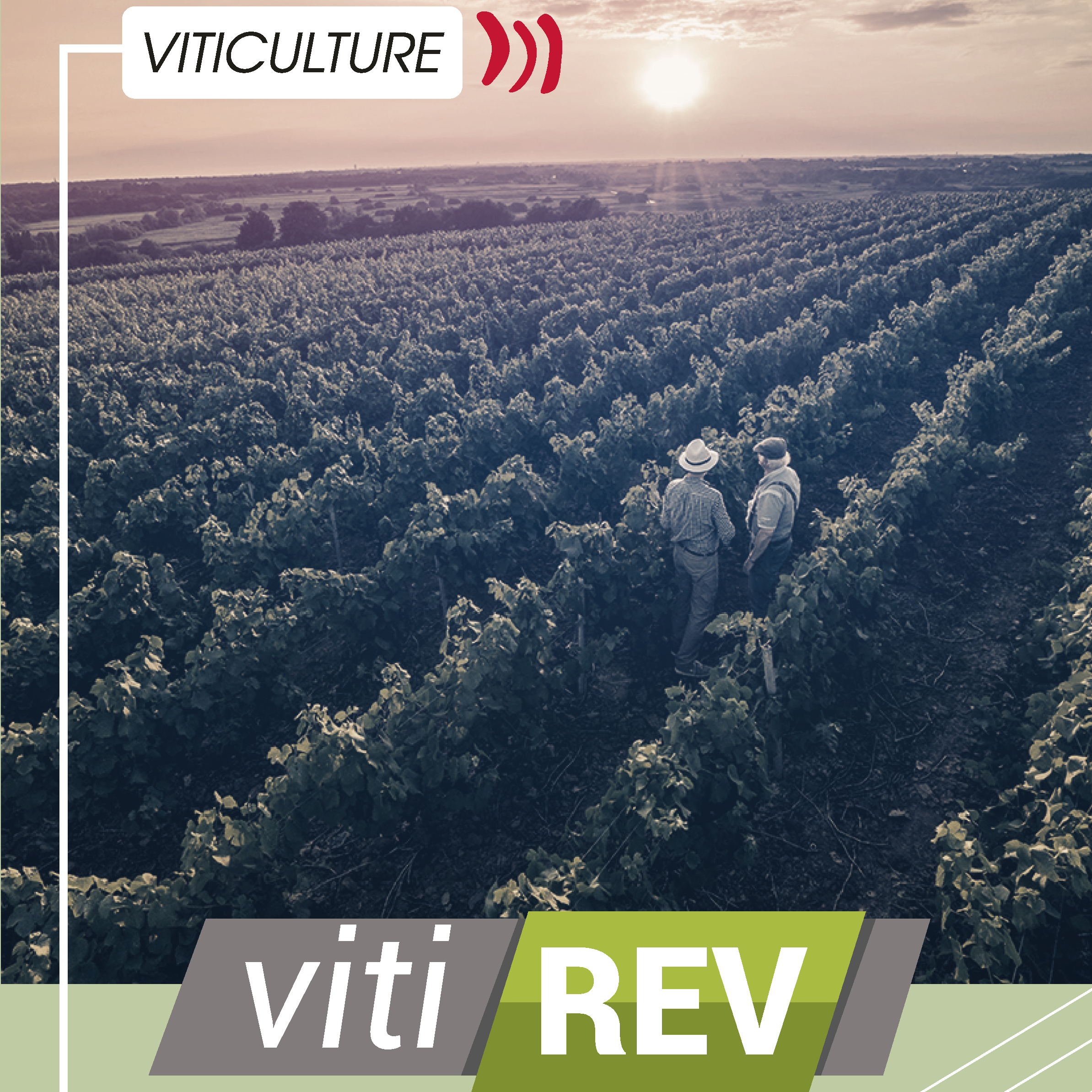 [Vidéo] VitiREV, un collectif  vitivinicole pour répondre à la feuille de route régionale Néo Terra