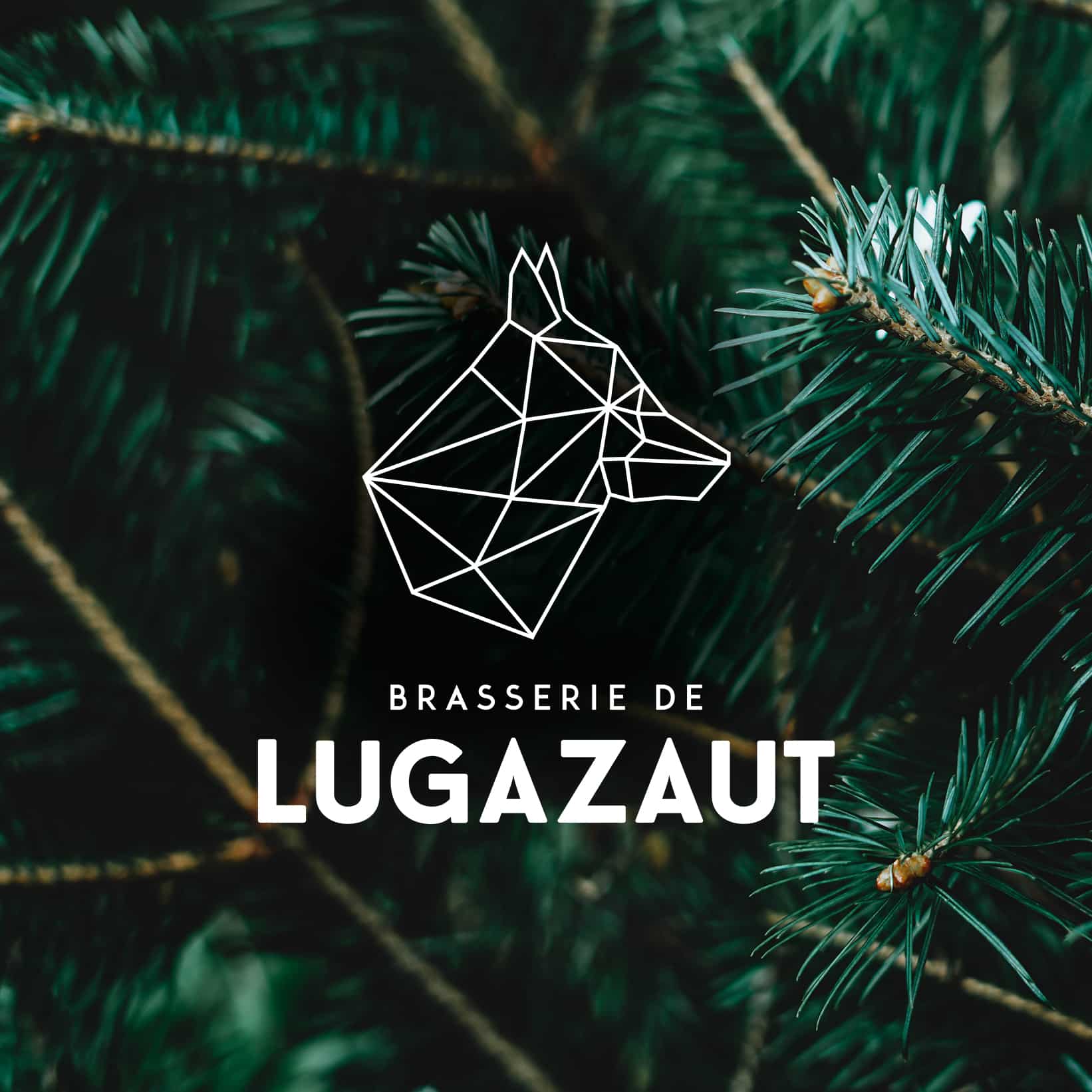 SARL VERTS – BRASSERIE DE LUGAZAUT