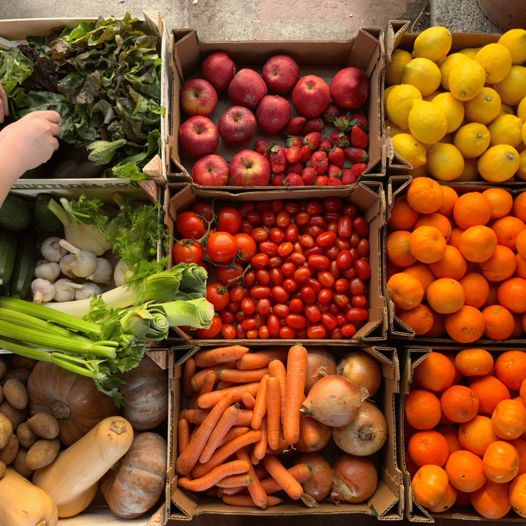 Soutiens financiers à l’achat de fruits et légumes : des effets démontrés sur la sécurité alimentaire et l’état de santé des bénéficiaires