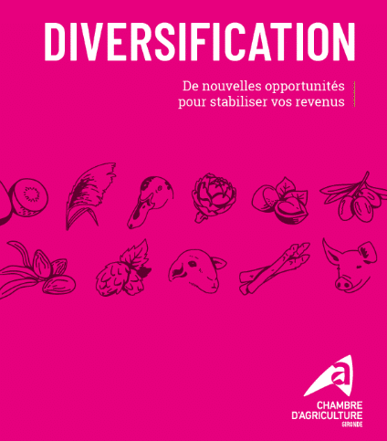 diversification